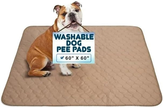 Premium Reusable Dog Pee Pads, Washable Waterproof Mat 60" x 60", Single Pack