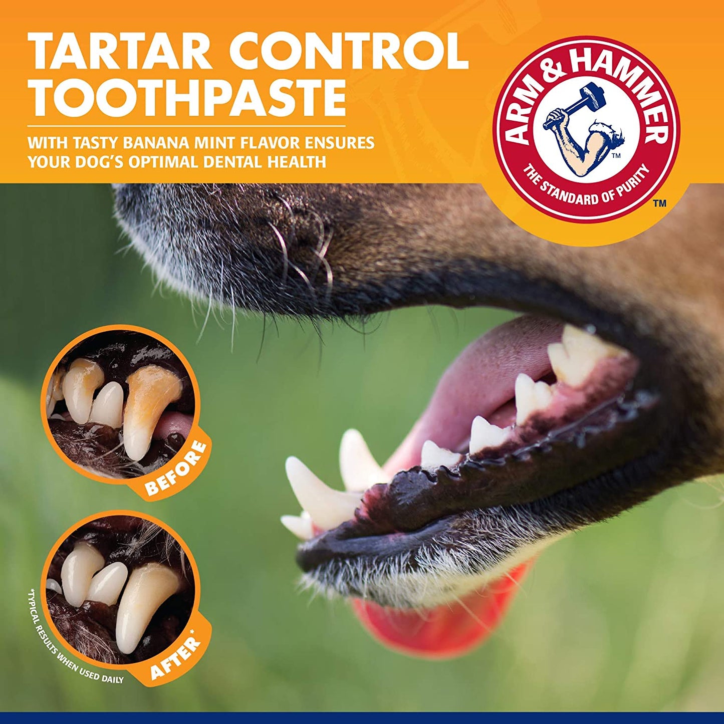 Tartar Control Dog Dental Care Set, Banana Mint Flavor, 3-Piece