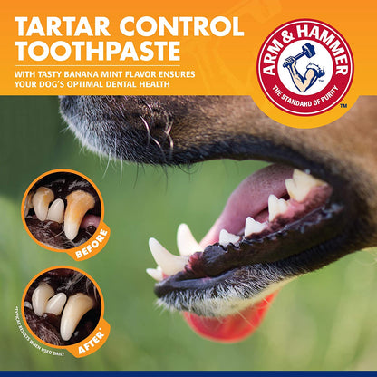 Tartar Control Dog Dental Care Set, Banana Mint Flavor, 3-Piece
