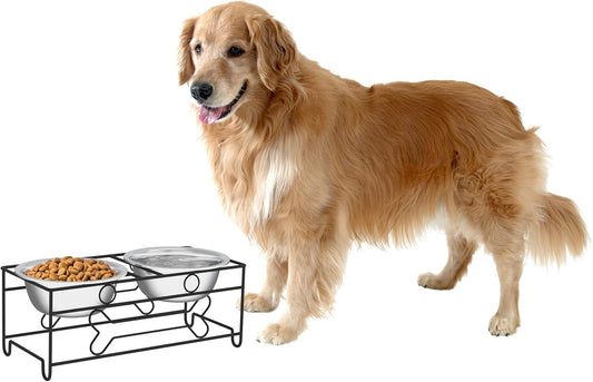 Set of 2 Stainless Steel Dog Bowls - 40 Oz Pet Bowls with Decorative Stand - Metal Food and Water Dishes for Large Pets - Puppy Essentials (Silver/Black)