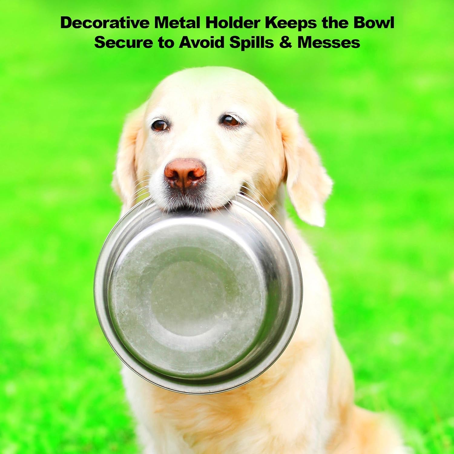 Set of 2 Stainless Steel Dog Bowls - 40 Oz Pet Bowls with Decorative Stand - Metal Food and Water Dishes for Large Pets - Puppy Essentials (Silver/Black)