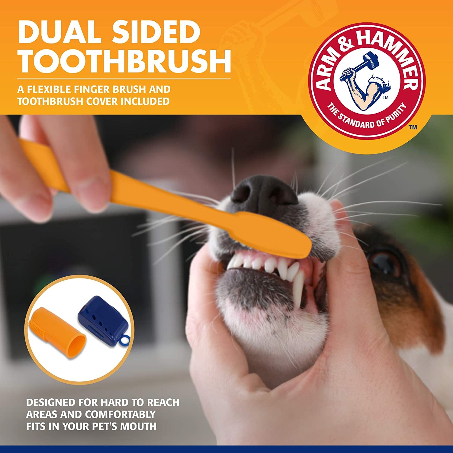 Tartar Control Dog Dental Care Set, Banana Mint Flavor, 3-Piece