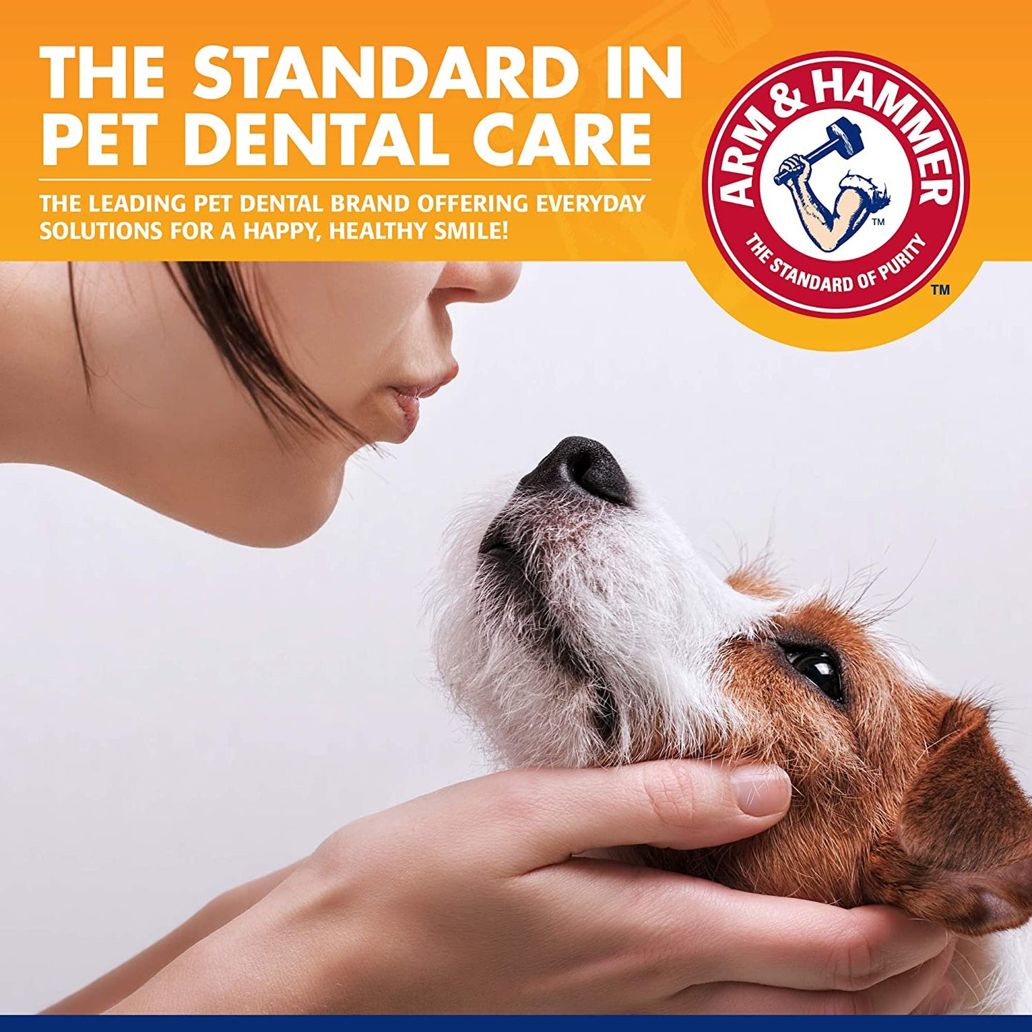 Tartar Control Dog Dental Care Set, Banana Mint Flavor, 3-Piece