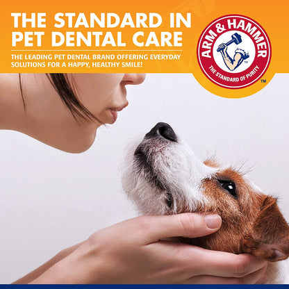 Tartar Control Dog Dental Care Set, Banana Mint Flavor, 3-Piece