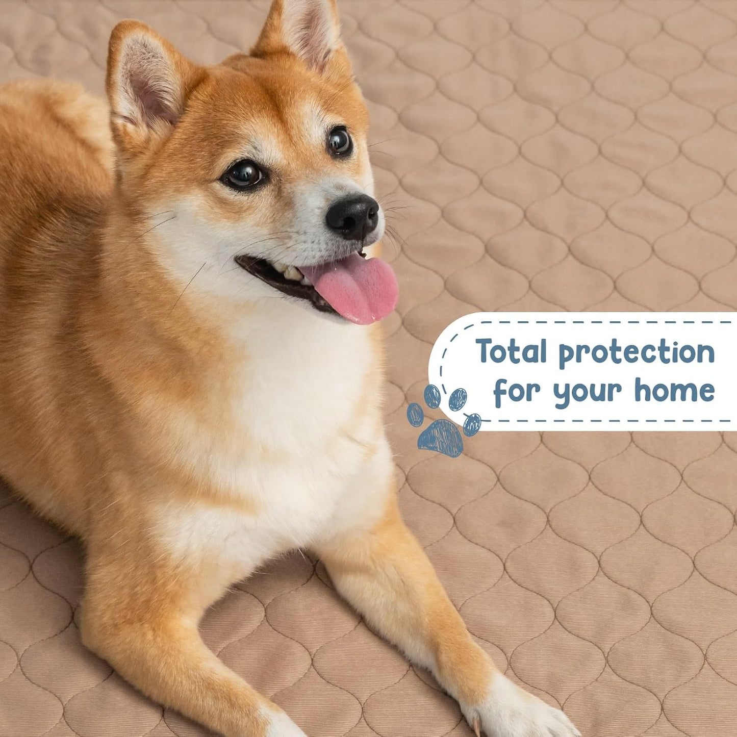 Premium Reusable Dog Pee Pads, Washable Waterproof Mat 60" x 60", Single Pack