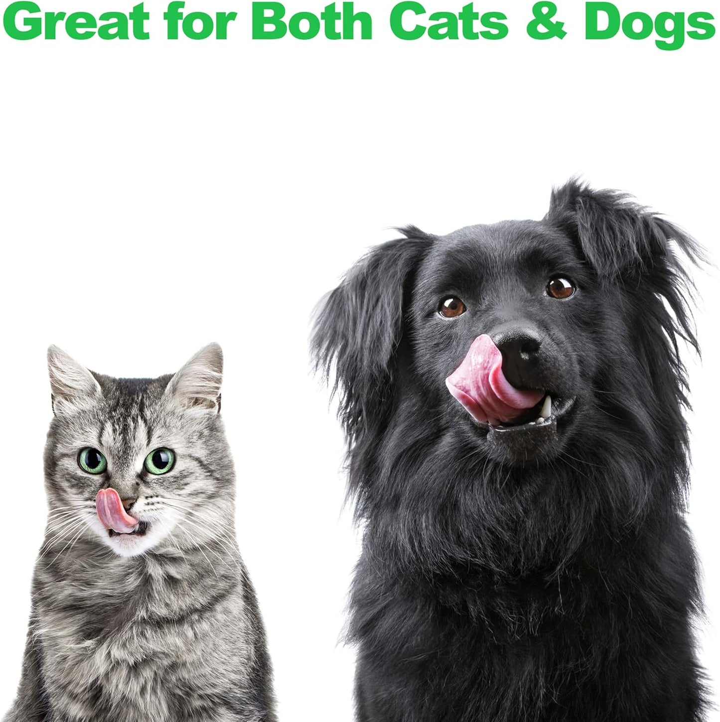 Set of 2 Stainless Steel Dog Bowls - 40 Oz Pet Bowls with Decorative Stand - Metal Food and Water Dishes for Large Pets - Puppy Essentials (Silver/Black)