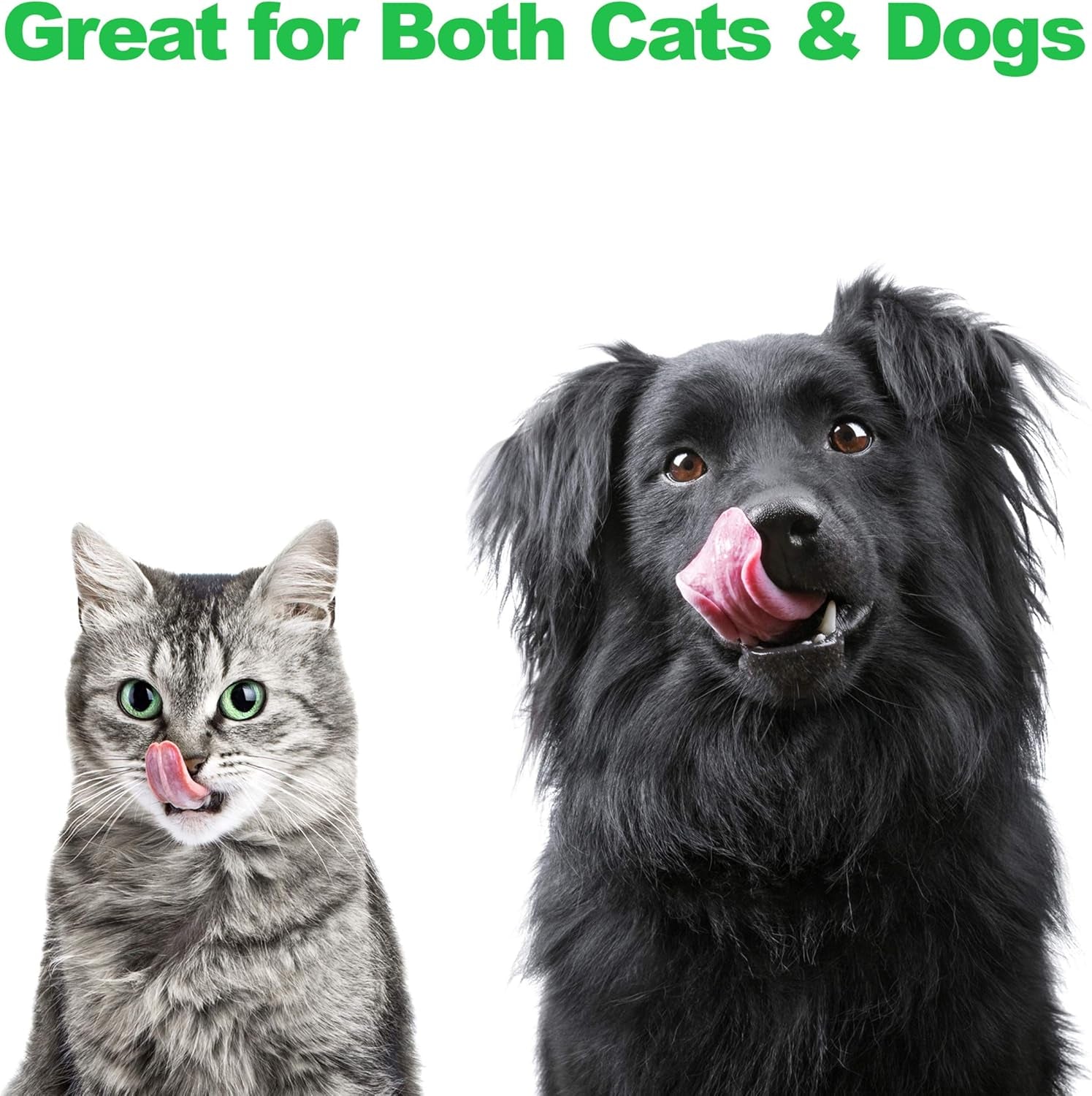 Set of 2 Stainless Steel Dog Bowls - 40 Oz Pet Bowls with Decorative Stand - Metal Food and Water Dishes for Large Pets - Puppy Essentials (Silver/Black)